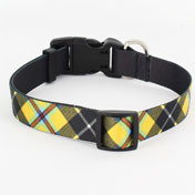 Dog Collar, Tartan Dog Collar, Cornish Tartan
